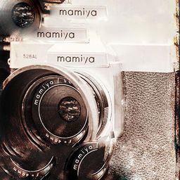 Photo Curation avatar