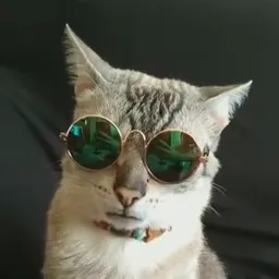 Physick avatar