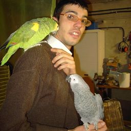 pietro087 avatar