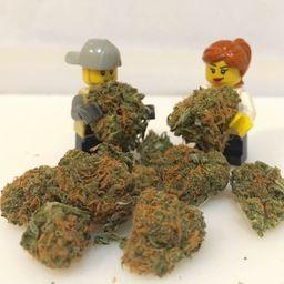 Pilot Dave avatar