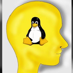 pinguinside avatar