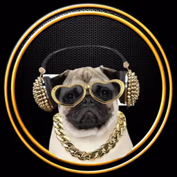 Pitboy avatar