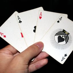 playpoker avatar