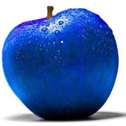 plmemes avatar