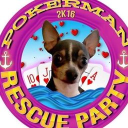 Poker Man avatar
