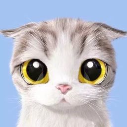 Polaris Cats avatar