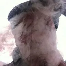 Pollux avatar