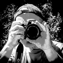 John M Poltrack avatar