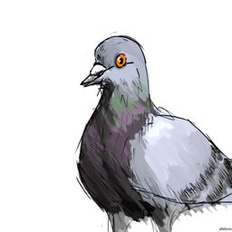 Pomogator