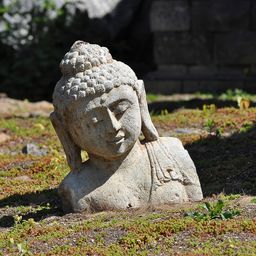 Positive Mind avatar