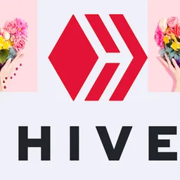 ***HIVE IS MY LIFE** avatar
