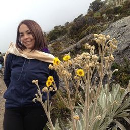 PSIDEMA avatar