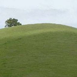Puncak Bukit avatar