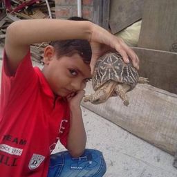 puneetsuthar avatar