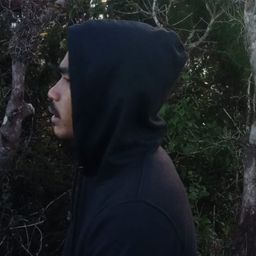 Putroe-Hive avatar