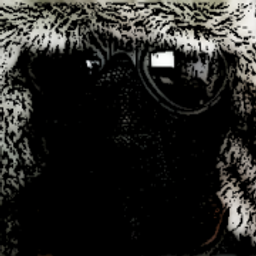 quadrumtanium avatar