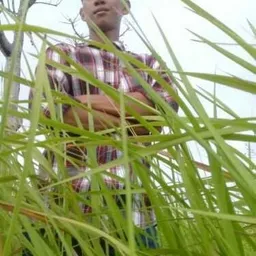 rabijal avatar