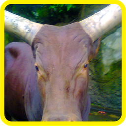 RadioFarSide avatar