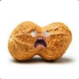 RagePeanut avatar