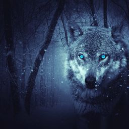 Raghwendra avatar