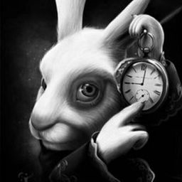 17th White Rabbit avatar