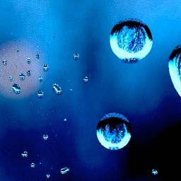 rainy.window avatar