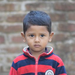 rakib320 avatar