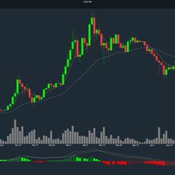 Crypto signals  avatar