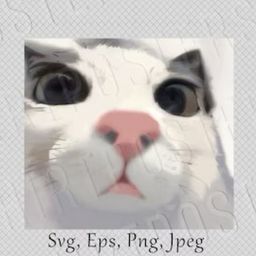 ratxd avatar