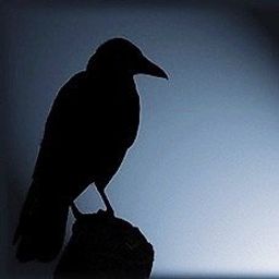 RavenX