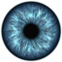Raverik avatar