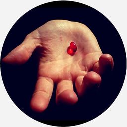 Red Pill Diaries  avatar