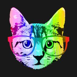 relativityboy avatar