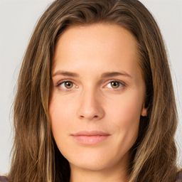 remindme.bot avatar