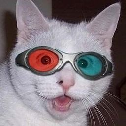 return_of_bon_sens avatar