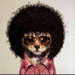 reverbtank avatar