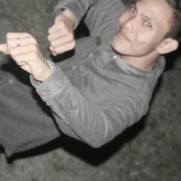 reza01 avatar