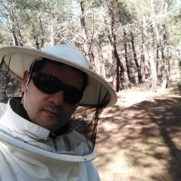 rgondie avatar