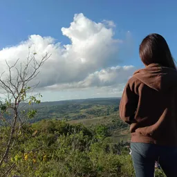 Miss D avatar