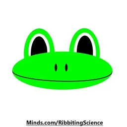 RibbitingScience avatar