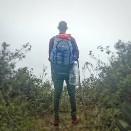 Rigo Morales  avatar