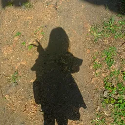 Rin Chan avatar