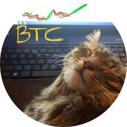 BTC Banker avatar