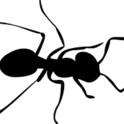 risyu avatar