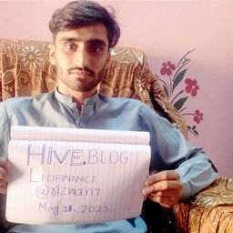 Rizwan avatar