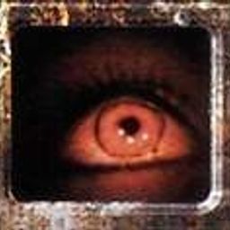 rndness222 avatar