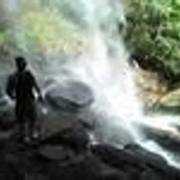 Knowledge Seeker avatar