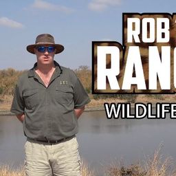 Rob The Ranger  avatar
