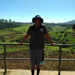RooBear541 avatar