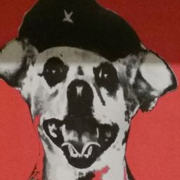 Roop avatar